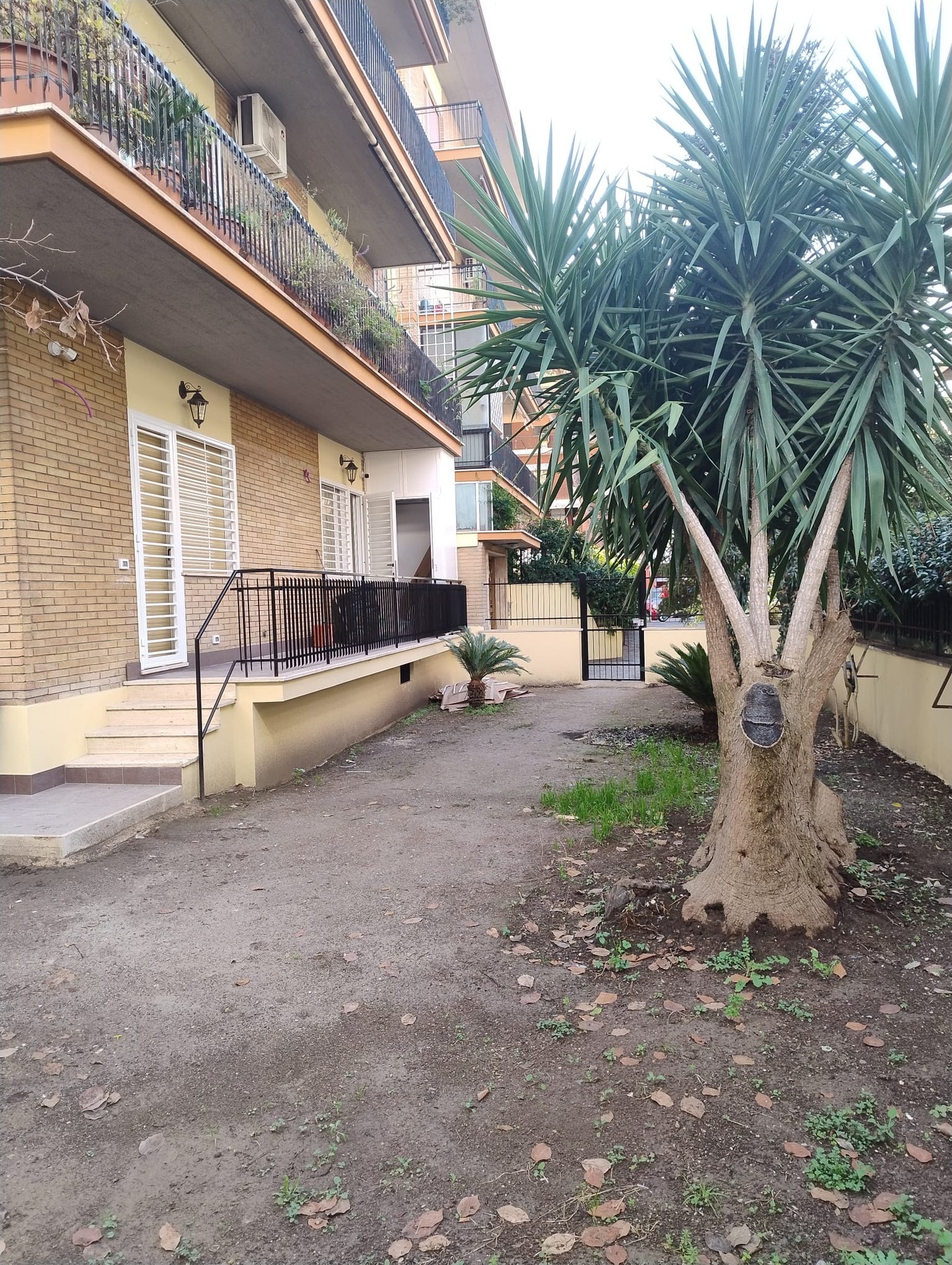 Giardino a fine lavori interni